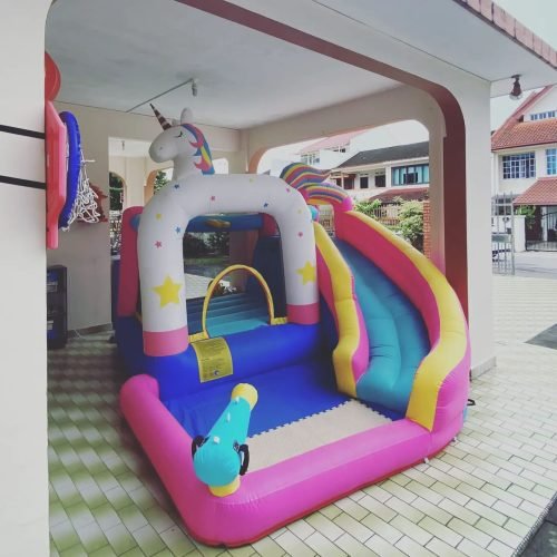 Bouncy Castle D (1)